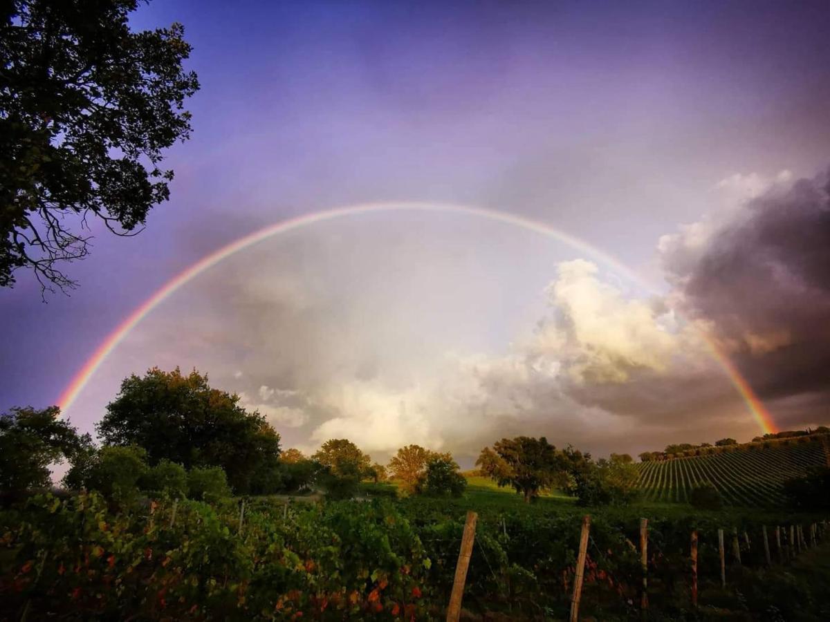 Willa Agriturismo Diaccialone Istia dʼOmbrone Zewnętrze zdjęcie