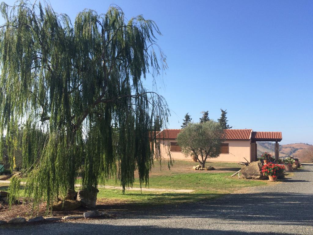 Willa Agriturismo Diaccialone Istia dʼOmbrone Zewnętrze zdjęcie