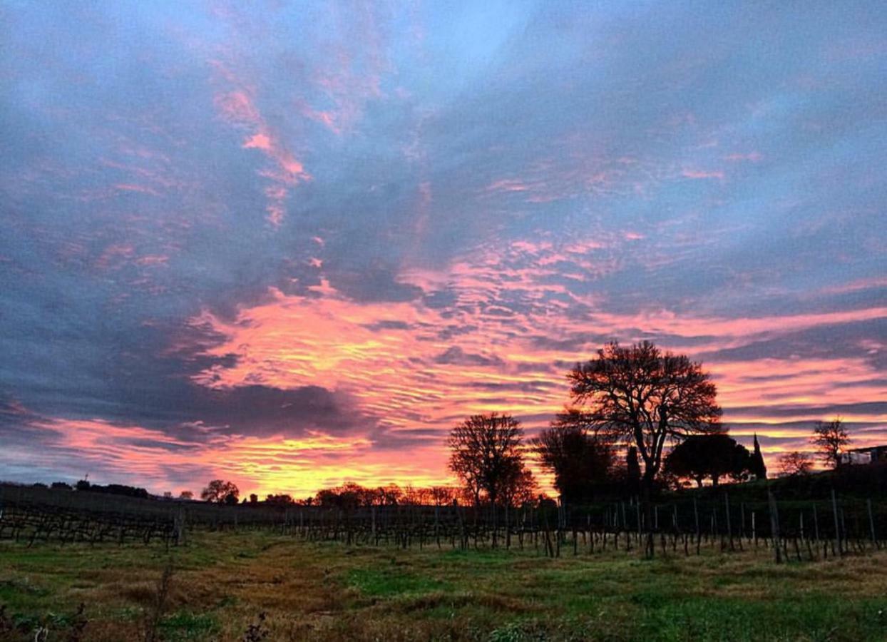 Willa Agriturismo Diaccialone Istia dʼOmbrone Zewnętrze zdjęcie